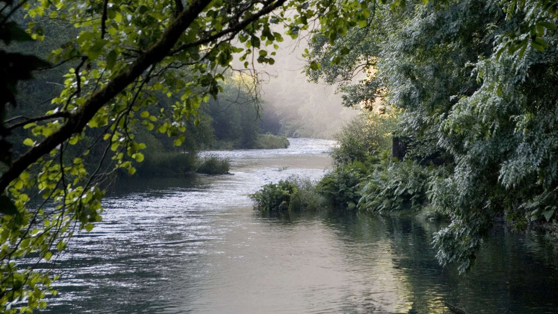 Paisaje invernal en Galicia: Fragas do  Eume